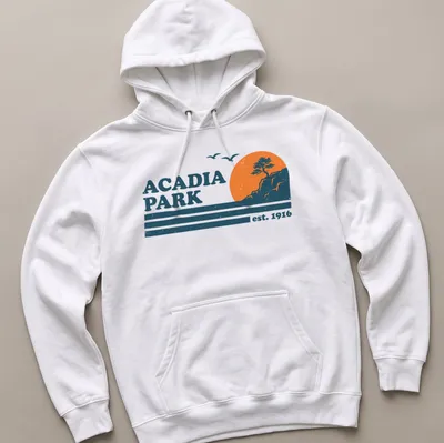 Retro distressed Acadia Park T-shirt featuring tree and cliff landscape — printed on a unisex hoodie
