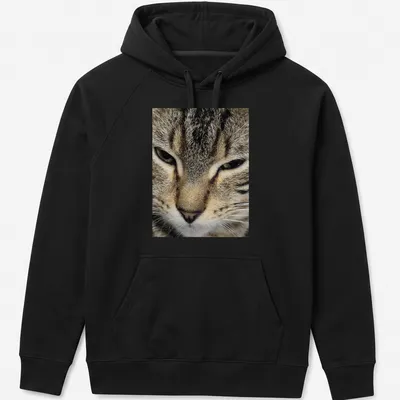 Realistic close-up of a cat's face in brown, gray, black, and white — printed on a unisex hoodie