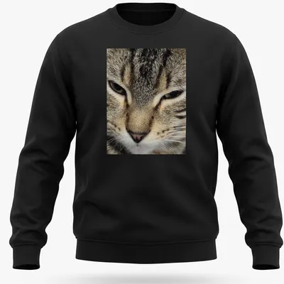 Realistic close-up of a cat's face in brown, gray, black, and white — printed on a unisex sweatshirt