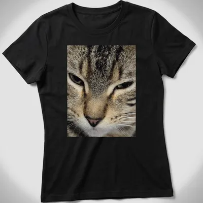 Realistic close-up of a cat's face in brown, gray, black, and white — printed on a women's shirt