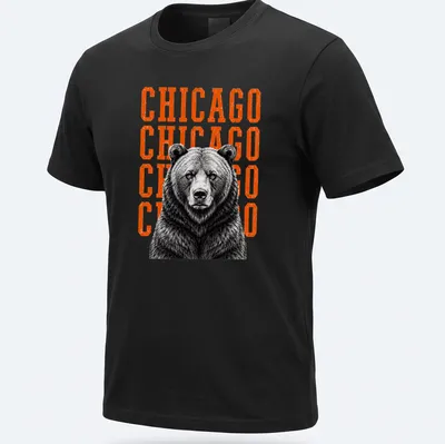 Vintage distressed Chicago Bears shirt with bold lettering and bear design — printed on a unisex t-shirt