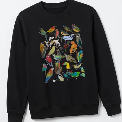 Vibrant illustration of various birds in multiple colors on a — printed on a unisex sweatshirt