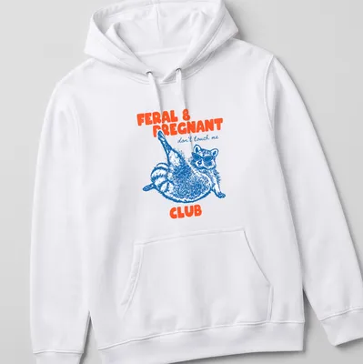 Playful illustration of a raccoon in sunglasses with text about being pregnant and feral — printed on a unisex hoodie