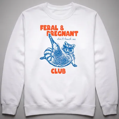 Playful illustration of a raccoon in sunglasses with text about being pregnant and feral — printed on a unisex sweatshirt