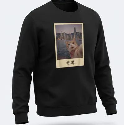 Orange tabby cat selfie with Hong Kong cityscape, colorful photographic print — printed on a unisex sweatshirt