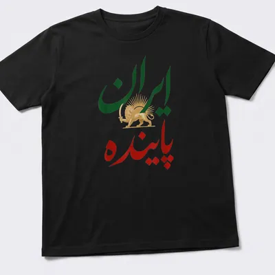 Bold illustration of a Lion and Sun with Persian text, vibrant colors celebrating culture — printed on a unisex t-shirt