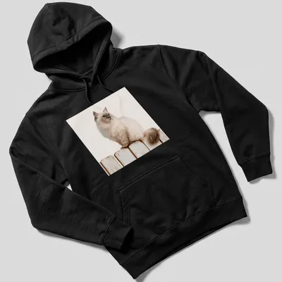 Realistic illustration of a Siamese cat sitting on a wooden fence against a blue sky. — printed on a unisex hoodie