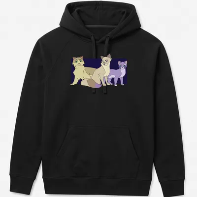 Cute cartoon cats with the text 'Pomefiore Cats' in playful script — printed on a unisex hoodie
