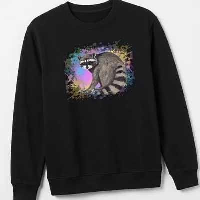 Watercolor print of a raccoon surrounded by colorful background in various hues — printed on a unisex sweatshirt