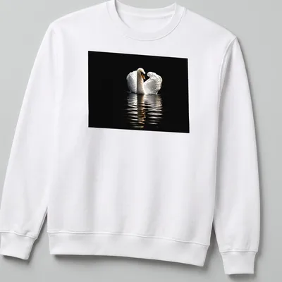 Photographic print of a solitary swan on dark waters in black and gray — printed on a unisex sweatshirt
